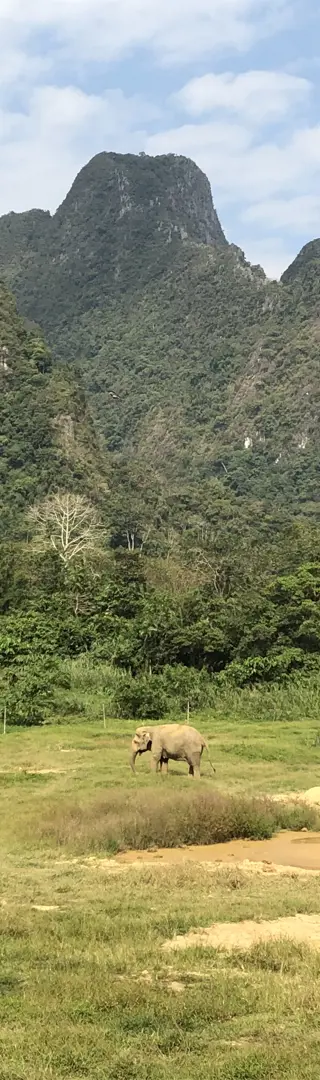 Khao Sok Nationalpark